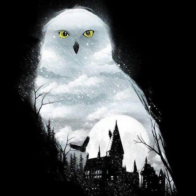 Hedwig(کسشر & کانکشن)