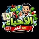 أنور السعيدي