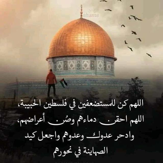 د. عبد الرحمن زكي حمد (أبو عبد الله)