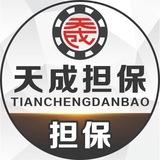 天成担保—东南亚新闻