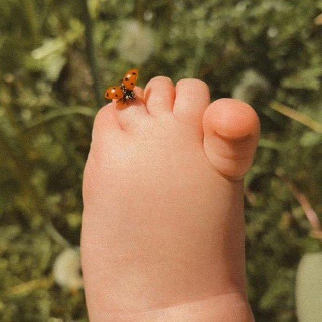 کفش دوزک🐞
