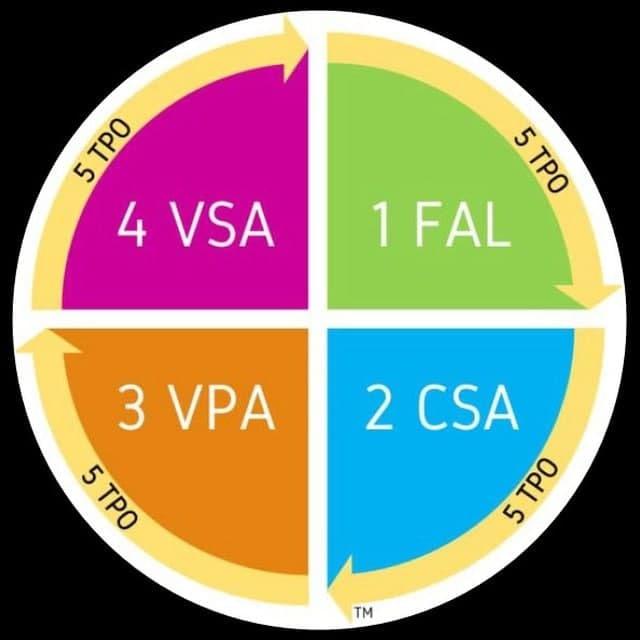 THE CSA5STEP SYSTEMS