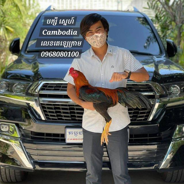 បក្សី​ ស្នេហ៍