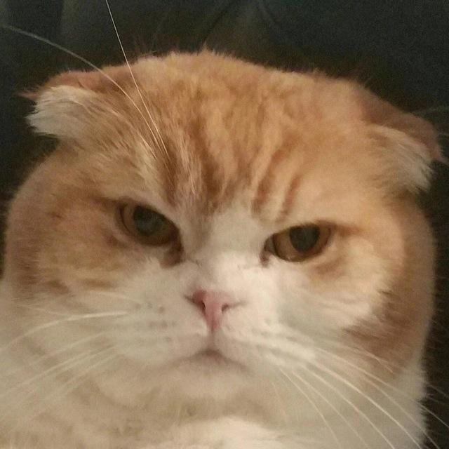 сонечка машук