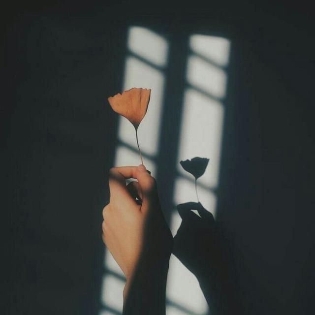 نــَـــبــْــض✨