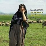 شنیار موزیک