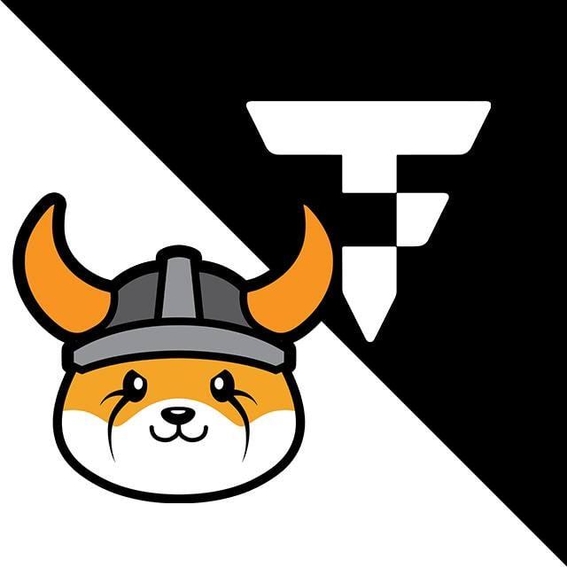 Floki & TokenFi 中文社区入口
