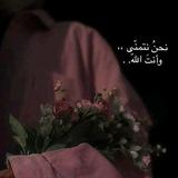 عبارت مقولات رائعة حكم