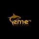 emeforex trading academy