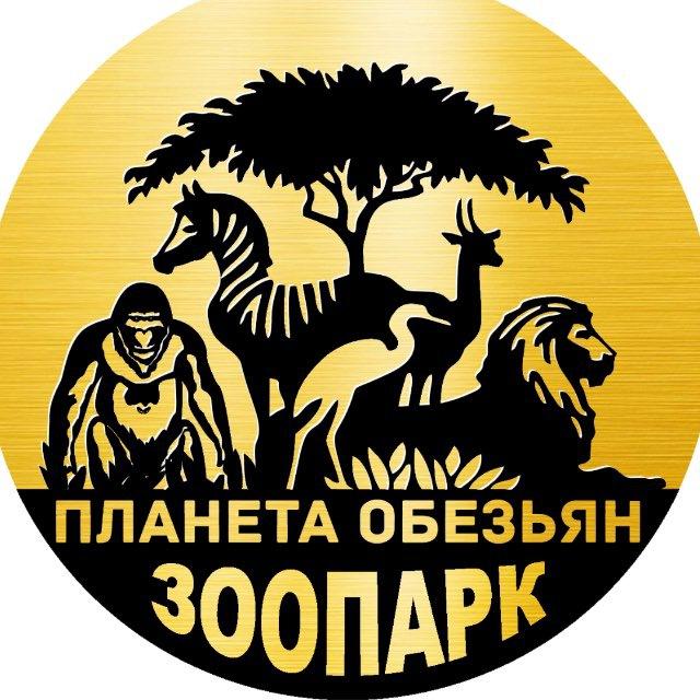 Планета обезьян глазами посетителей или приключения в зоопарке 🐒