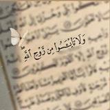 سَيَهْدِين❤️‍🩹.