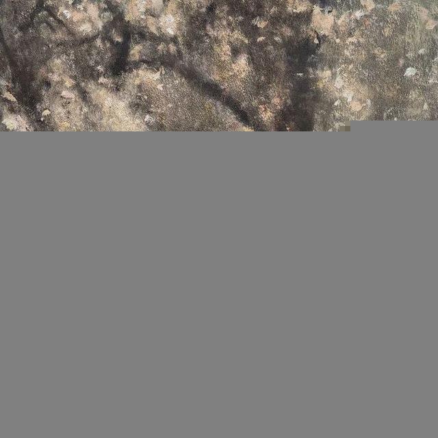 𝐅𝐨𝐫 𝐌𝐚𝐫𝐲…