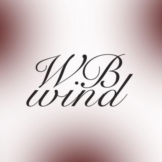 WBWIND из тик тока