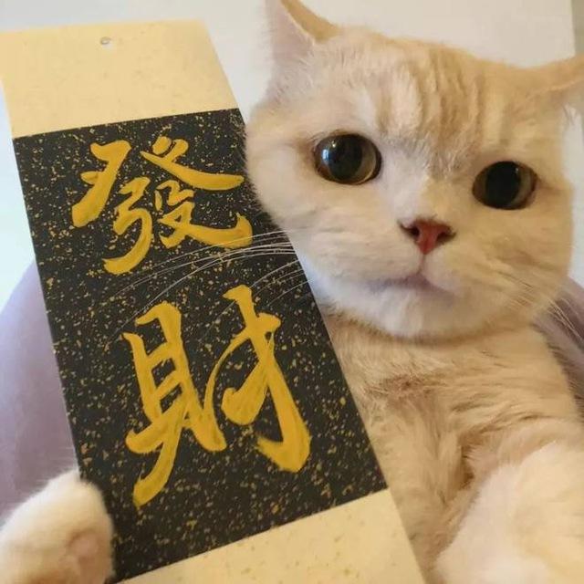 TG引流✈️卖飞机号✈️飞机号商✈️代拉真人✈️诚信号商✈️飞机老号✈️频道上粉✈️飞机账号|飞机老号|飞机会员|批发飞机号|买飞机号|强拉真人|TG助手|群发私信|飞机协议号|TG协议号|接码直登号✈️