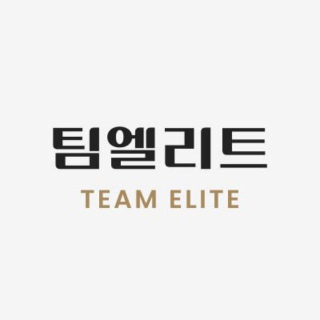 팀 엘리트