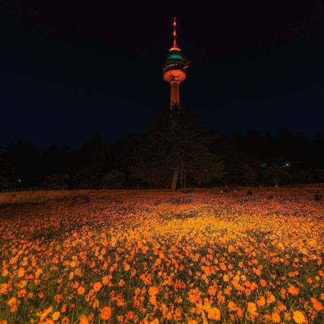 【狗推总库】免费素材/高清大图/炫富，朋友圈素材/美食豪车/居家生活/风景旅行/素材/话术