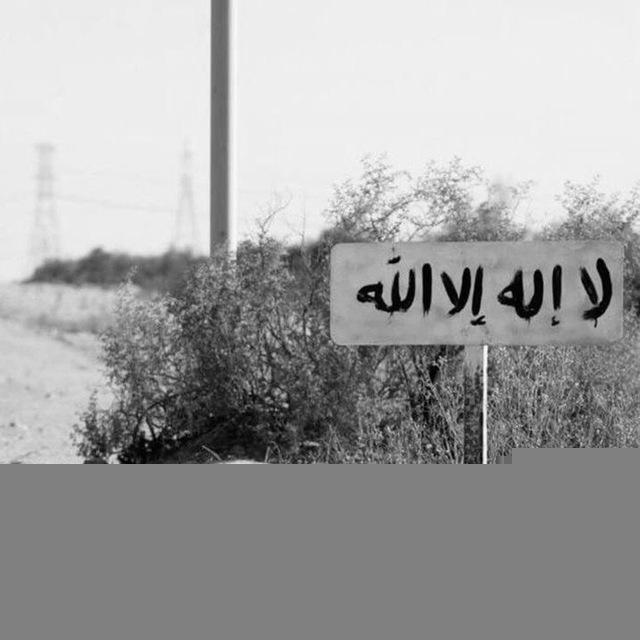 غريب ﮰﮰ