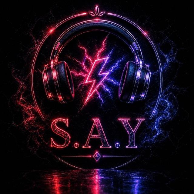 🎧 𝑺.𝑨.𝒀⚡️