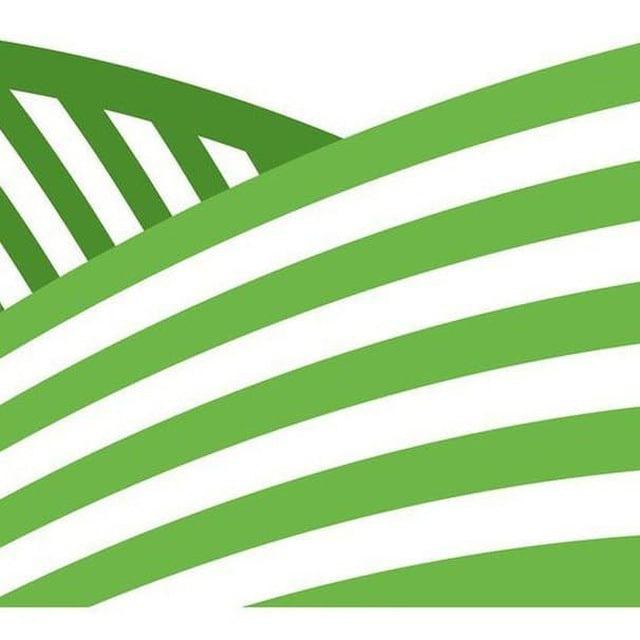 Latifundist.com