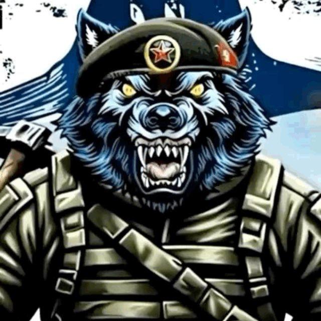 Поиск наших Войнов 177 полка морской пехоты