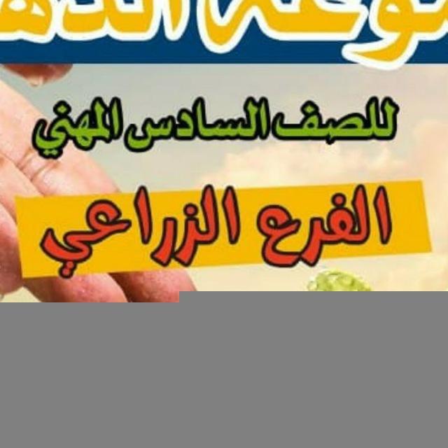 قناة سادس زراعي خارجي