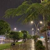 الرِّهَــام.