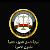 نيابه الدقى اسره