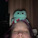 клуб котиков