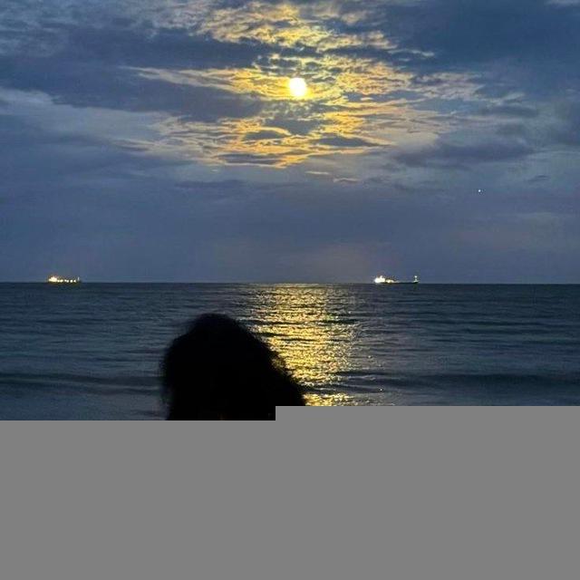 moonlight