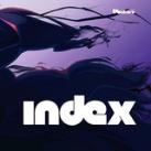 Stash Index