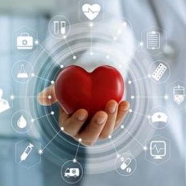 حرکات_اصلاحی