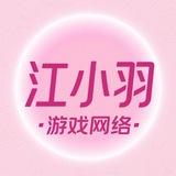 江小羽游戏网络