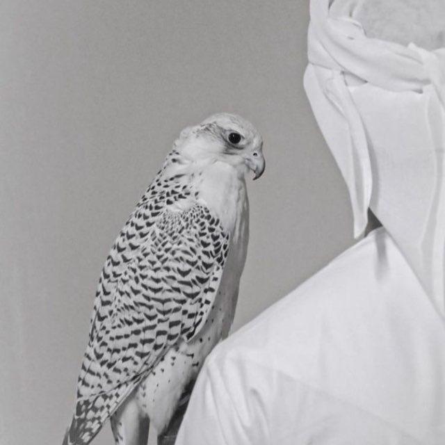 « ᷂الـعـَام ᷂»٢