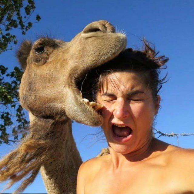Best funny videos