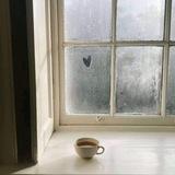 نّبْتَة 🌱