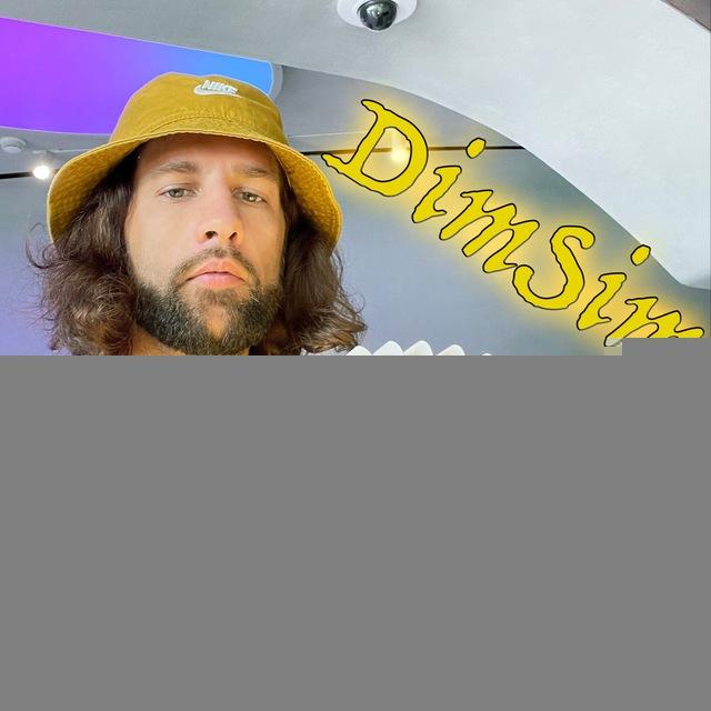 DimSim