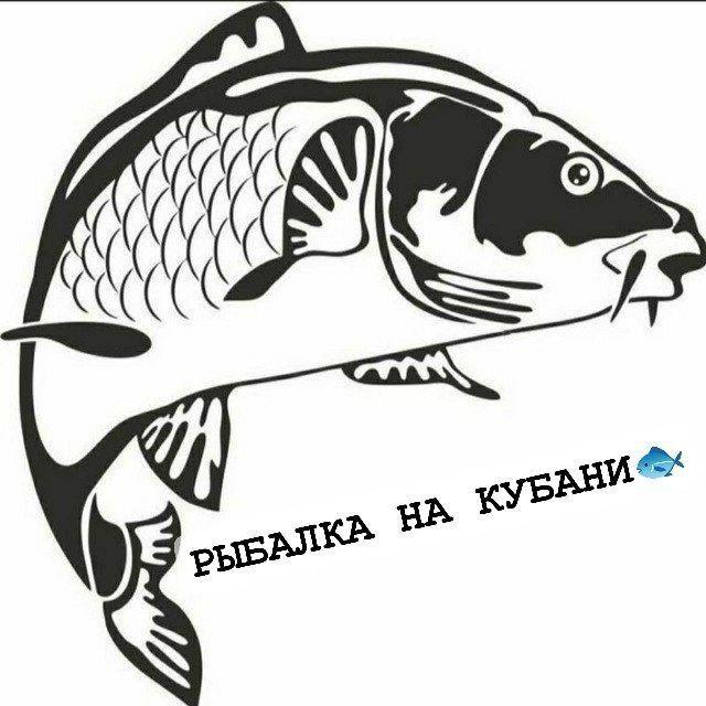 РЫБАЛКА НА КУБАНИ🐟