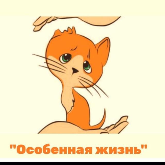 Животные приюта "Особенная жизнь" Лечим, пристраиваем вместе с вами.❤️