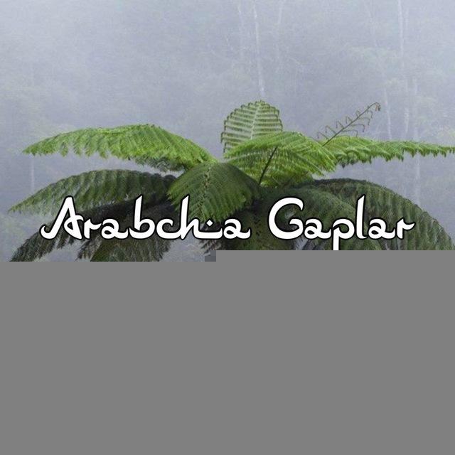 Arabcha Gaplar 🇸🇦