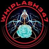 Whip Wallet | Buy, Swap, Stake & more! Beta 1.0