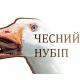 Підслухано НУБІП | Чесний НУБіП | Nules НУБИП