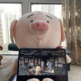 交易所综合盘资金盘 app搭建软件开发网站搭建源码 六合彩