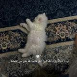 لـ علي انـتمائـي.