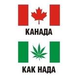 USA USA🤪