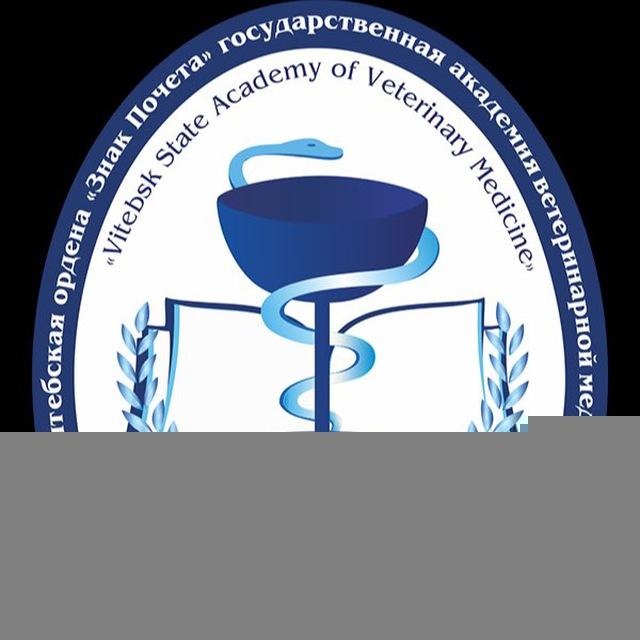 Канал 1 курс ВГАВМ 2025