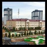 CHDPU Tabiiy fanlar fakulteti yoshlar ittifoqi kanali