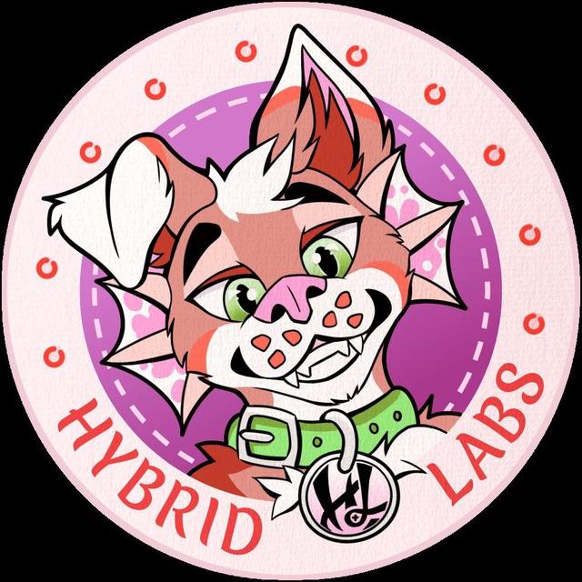 Hybrid Labs Fursuits 🧵✂️
