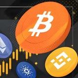 Panda Light Cryptocurrency