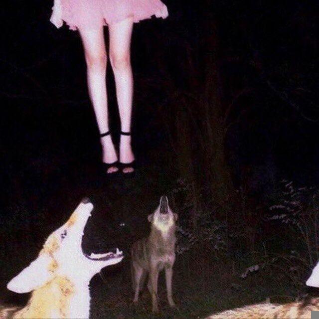 tenebris