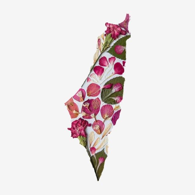 💌Të gjitha ngjyrat e jetës💌